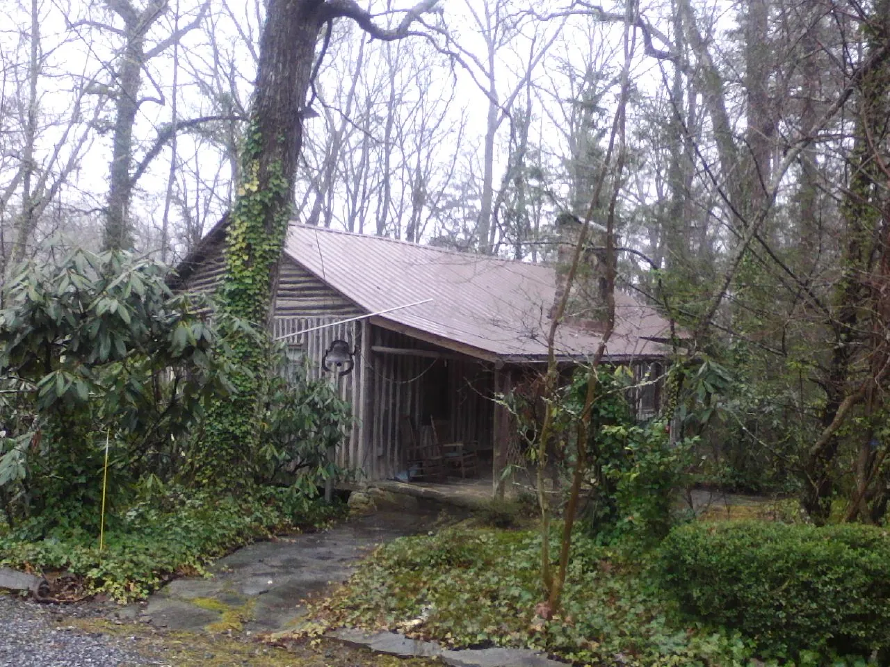 Weathered metal roof on an old board sided cabin in the woods in Lincoln City
